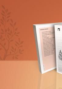 Hüsrev Hatemi Kitabı