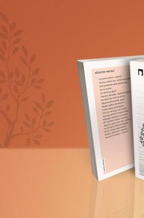 Hüsrev Hatemi Kitabı