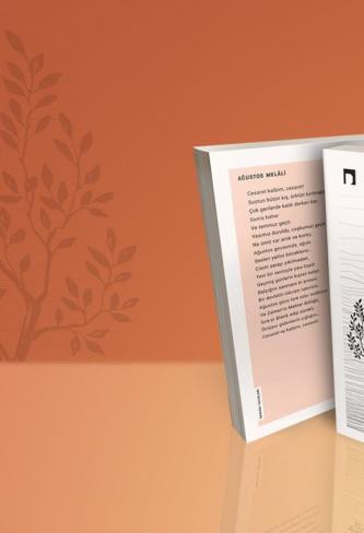 Hüsrev Hatemi Kitabı