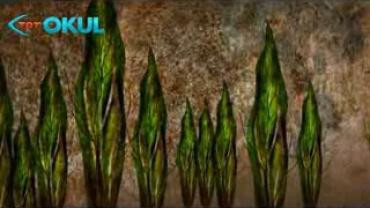 Ahmet Hamdi Tanpınar - Edebiyatın Yüzü - TRT Okul